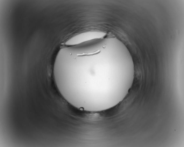 X0000088040374200706081614