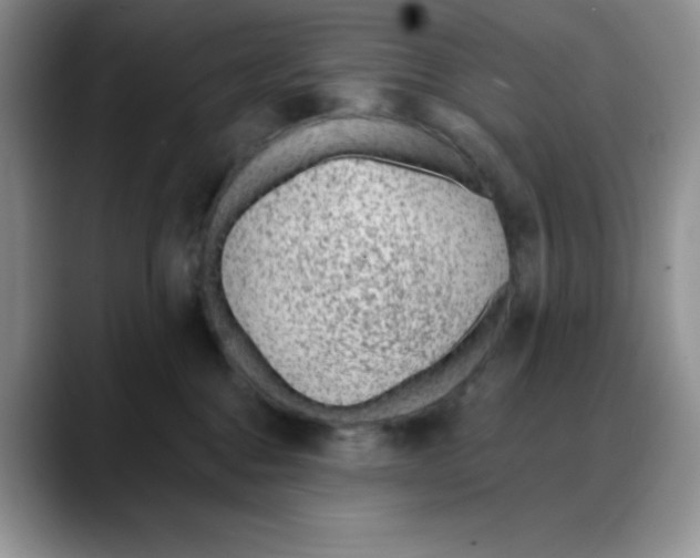 X0000088040376200706081614