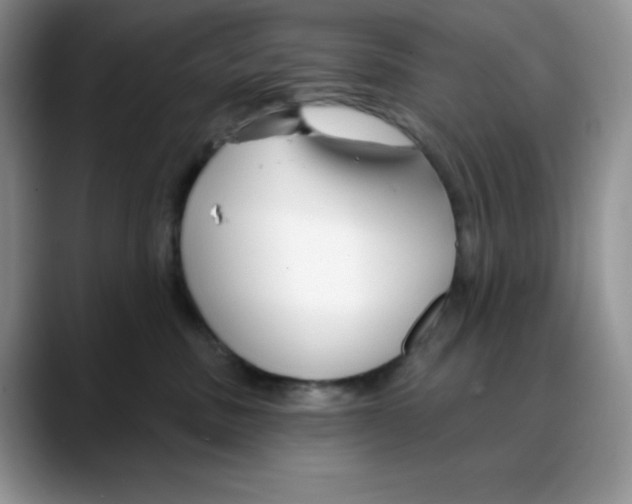 X0000088040379200706081614