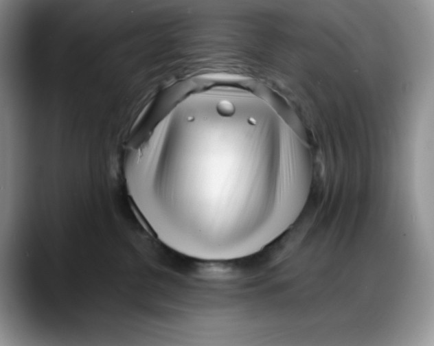 X0000088040380200706081614