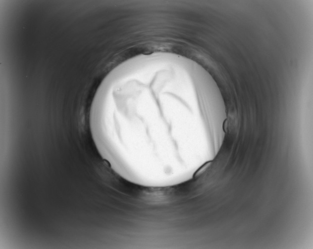 X0000088040381200706081614