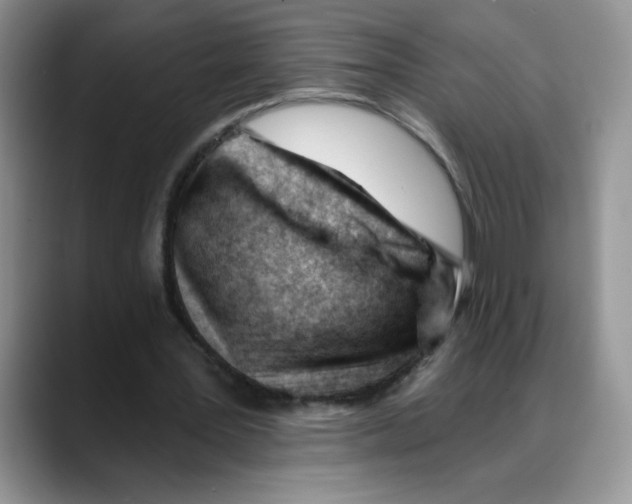 X0000088040387200706081613