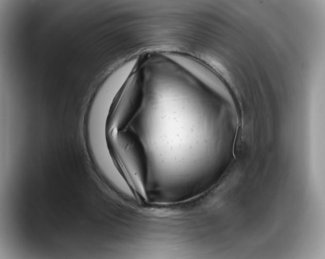 X0000088040389200706081613