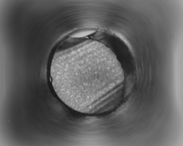 X0000088040391200706081613