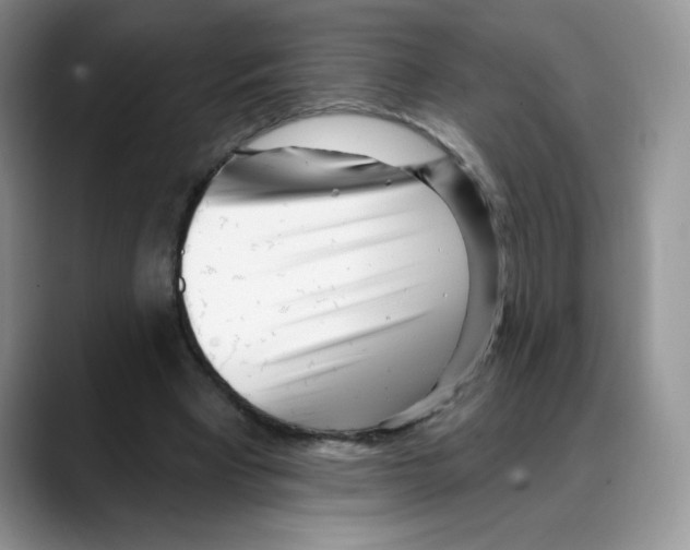 X0000088040393200706081613