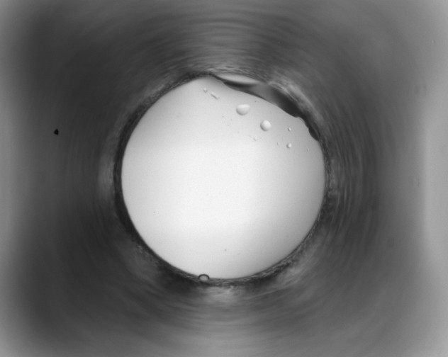 X0000088040394200706081613