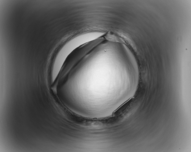 X0000088040395200706081613