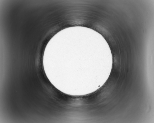 X0000088040396200706081613