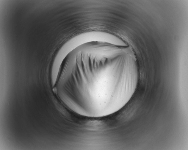 X0000088040397200706081613