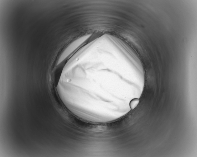 X0000088040398200706081613