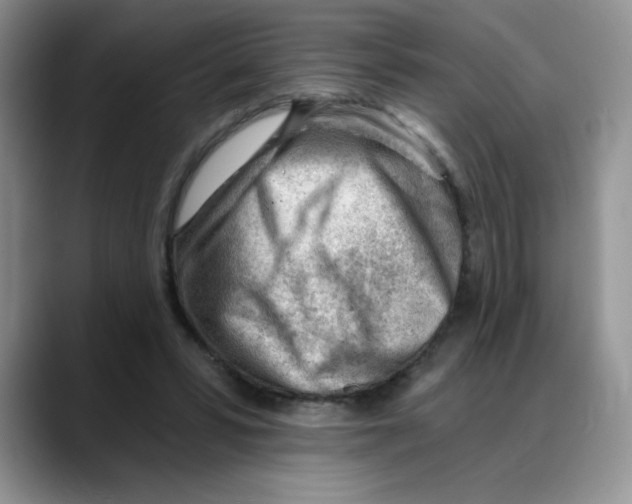 X0000088040399200706081613