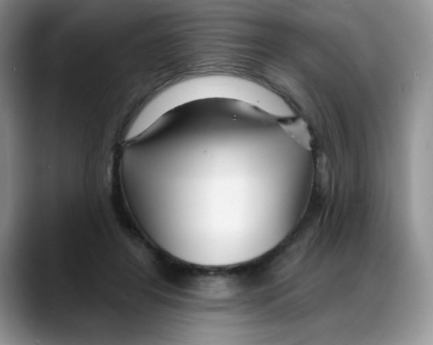 X0000088040404200706081613