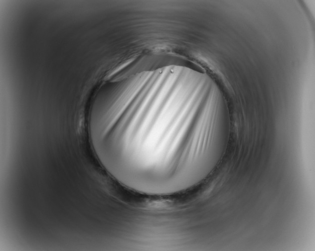 X0000088040407200706081613