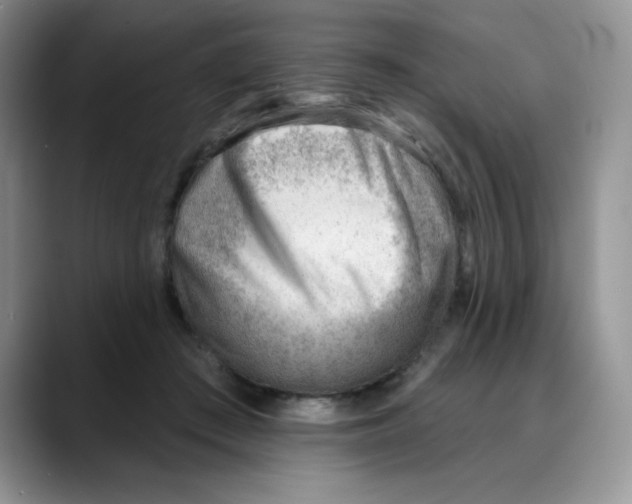 X0000088040409200706081613