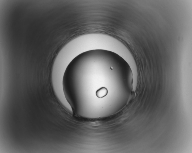 X0000088040411200706081613