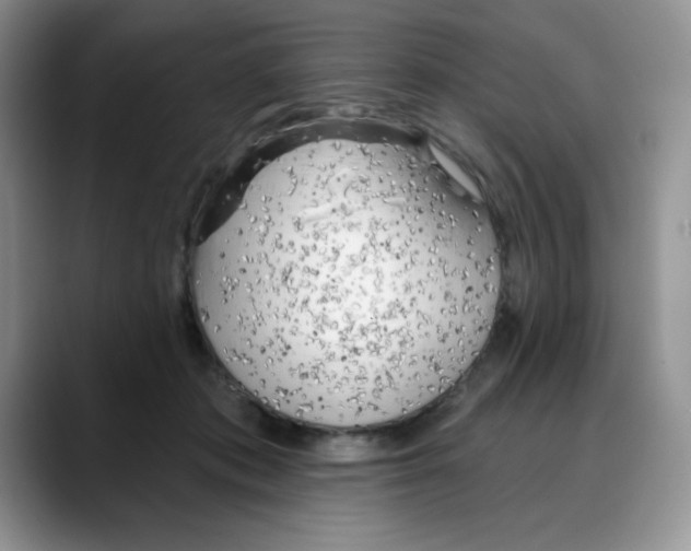 X0000088040413200706081613