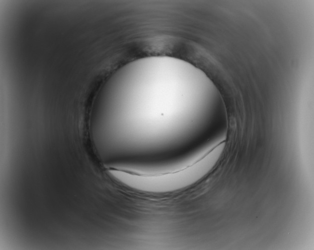 X0000088040416200706081613