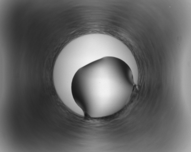 X0000088040417200706081613