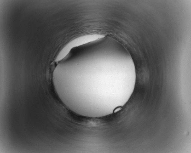 X0000088040420200706081613