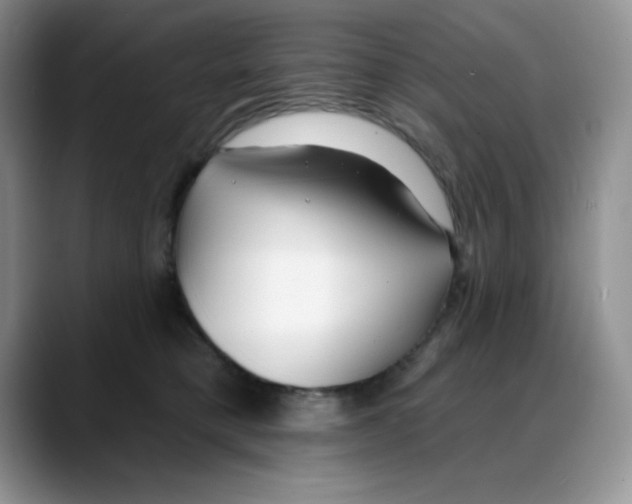 X0000088040421200706081613