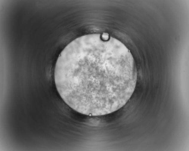 X0000088040423200706081613