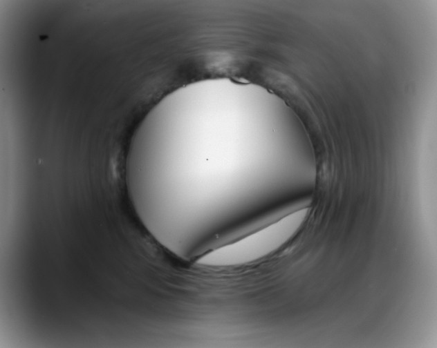 X0000088040424200706081613