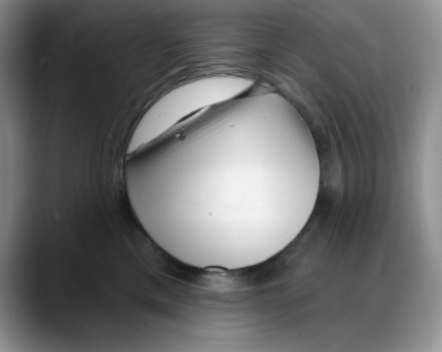 X0000088040425200706081613