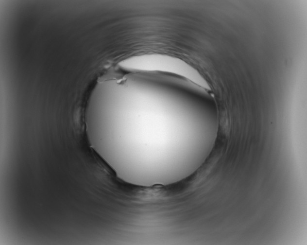 X0000088040428200706081613