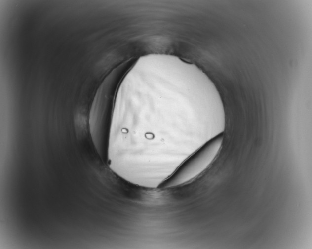 X0000088040432200706081613