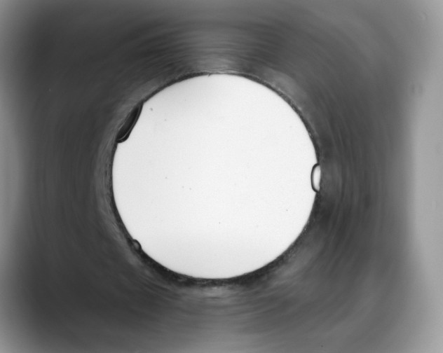 X0000088040433200706081612