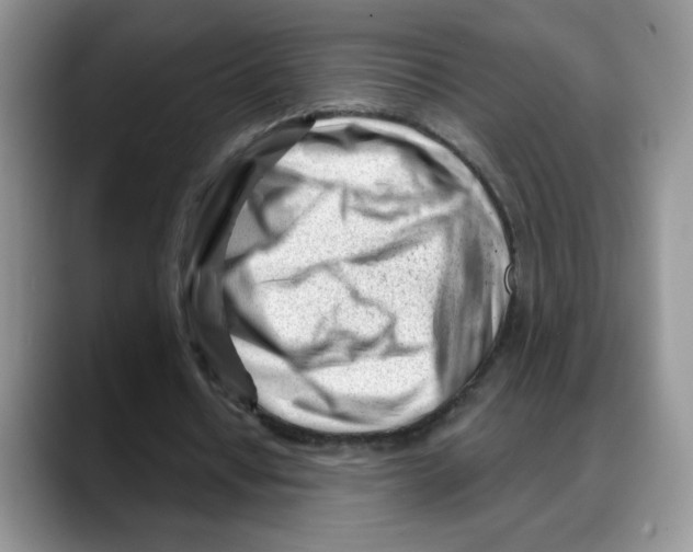 X0000088040434200706081612