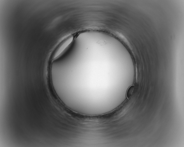 X0000088040435200706081612