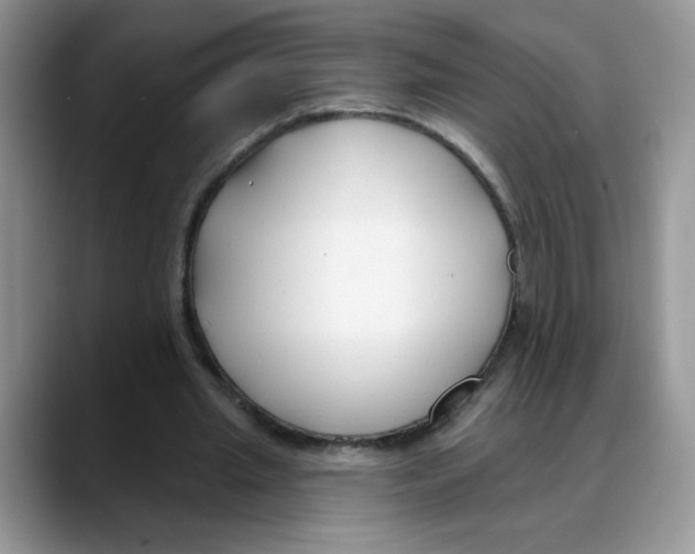 X0000088040437200706081612