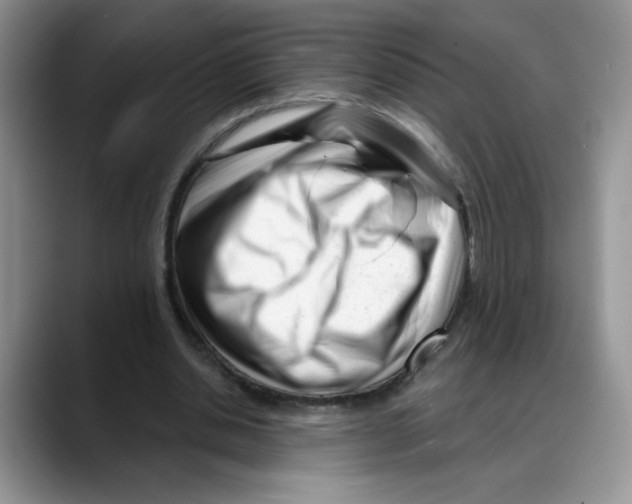 X0000088040438200706081612