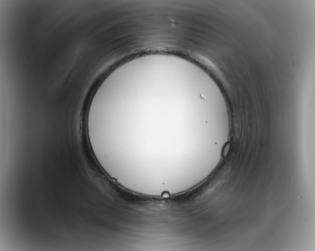 X0000088040439200706081612