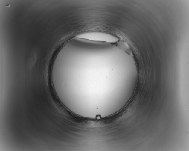 X0000088040442200706081612