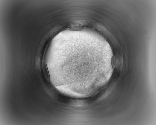 X0000088040444200706081612