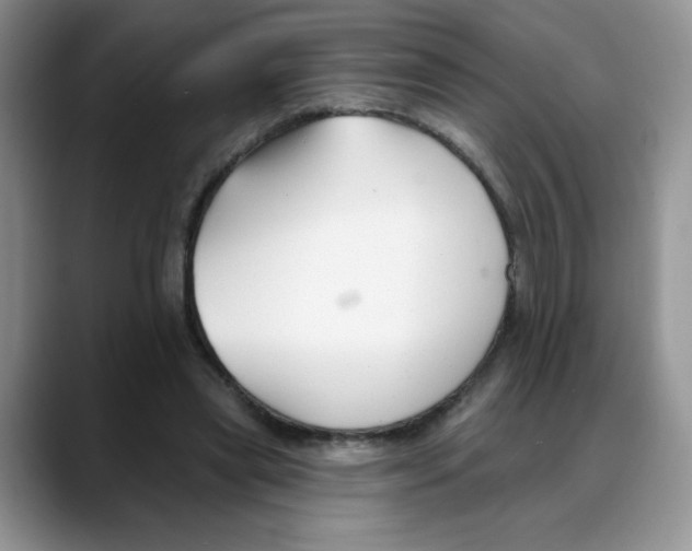 X0000088040445200706081612