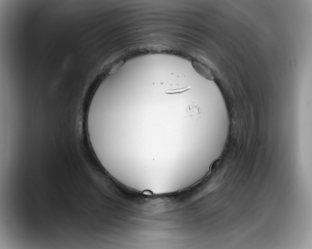 X0000088040446200706081612