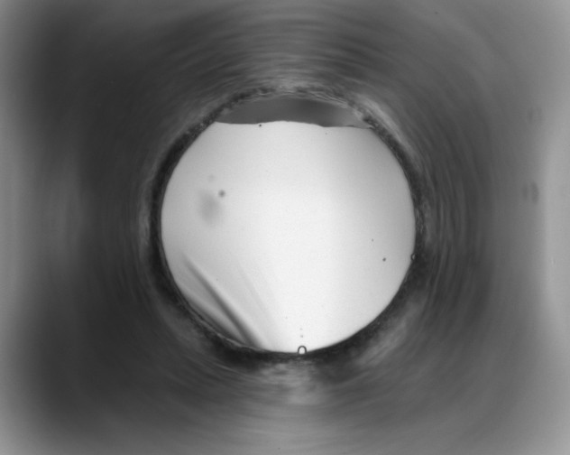 X0000088040447200706081612