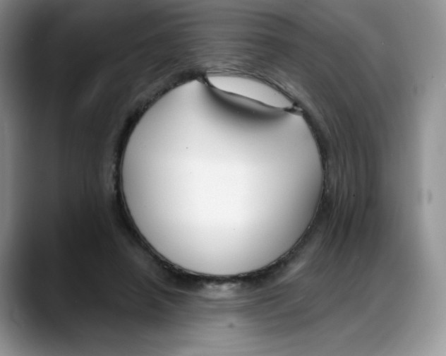 X0000088040450200706081612