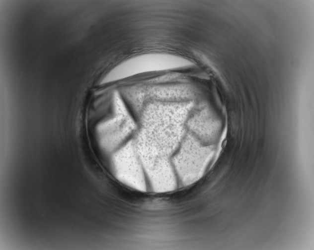 X0000088040451200706081612