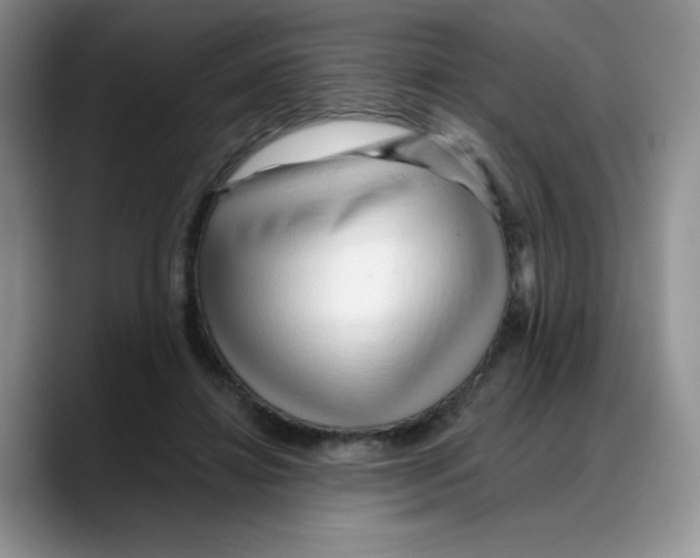 X0000088040452200706081612