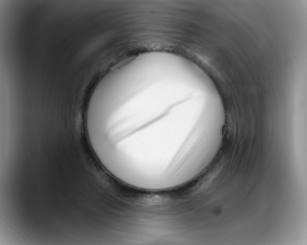 X0000088040453200706081612