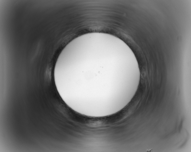 X0000088040454200706081612