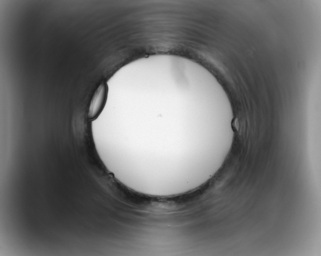 X0000088040455200706081613