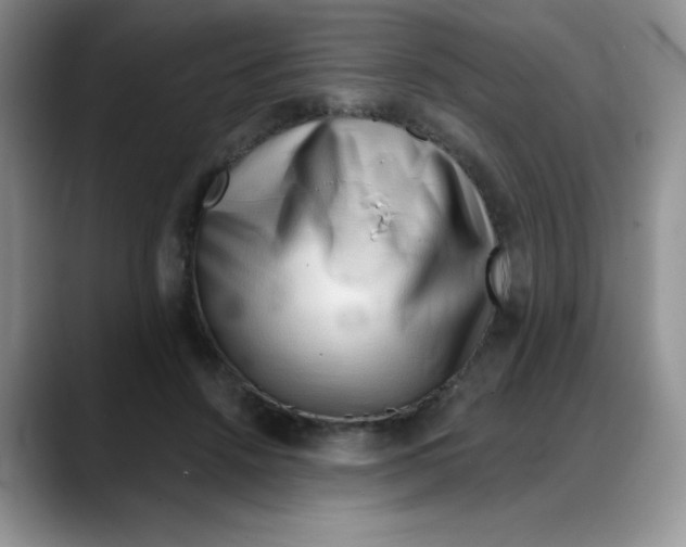 X0000088040456200706081613