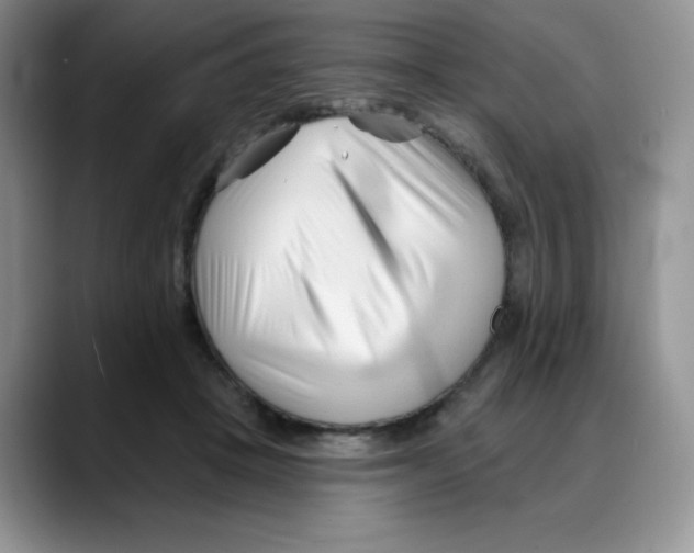 X0000088040457200706081613