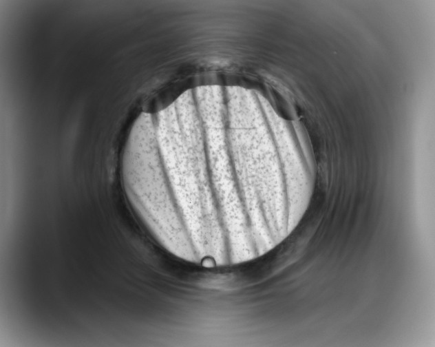 X0000088040458200706081613