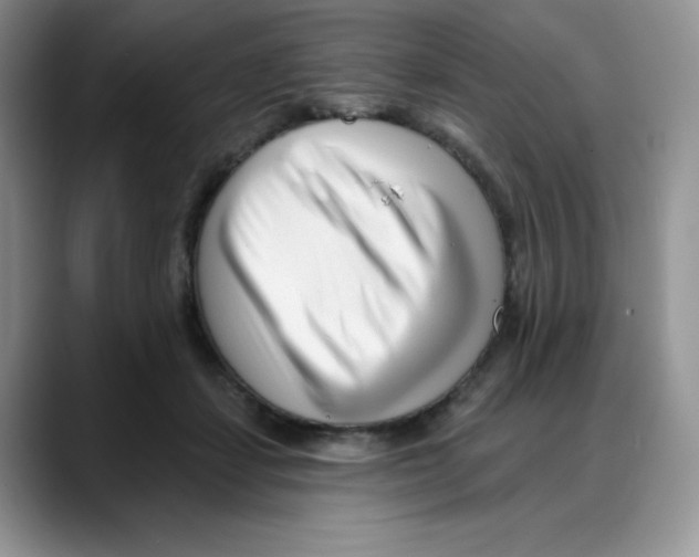 X0000088040459200706081613